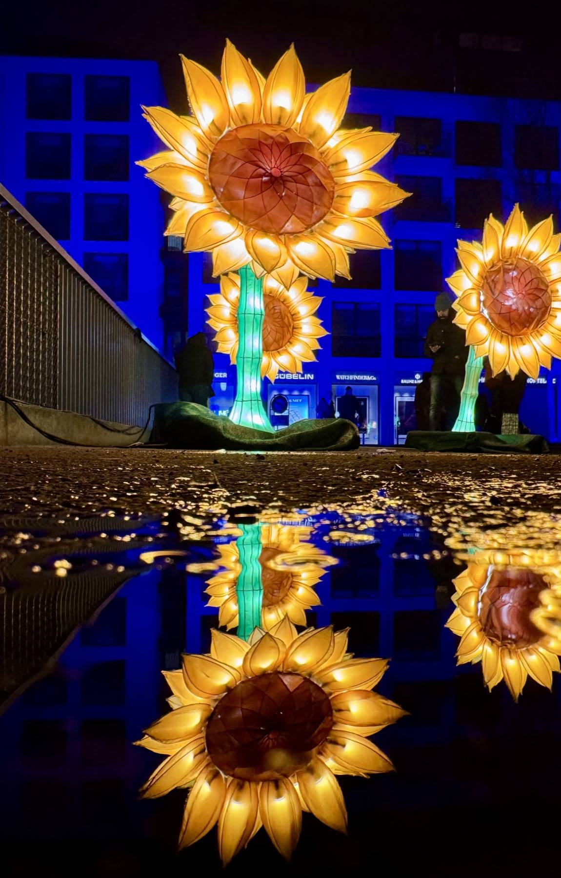Leuchtende Sonnenblumen-Installation am Lilu, aus kurzer Distanz fotografiert